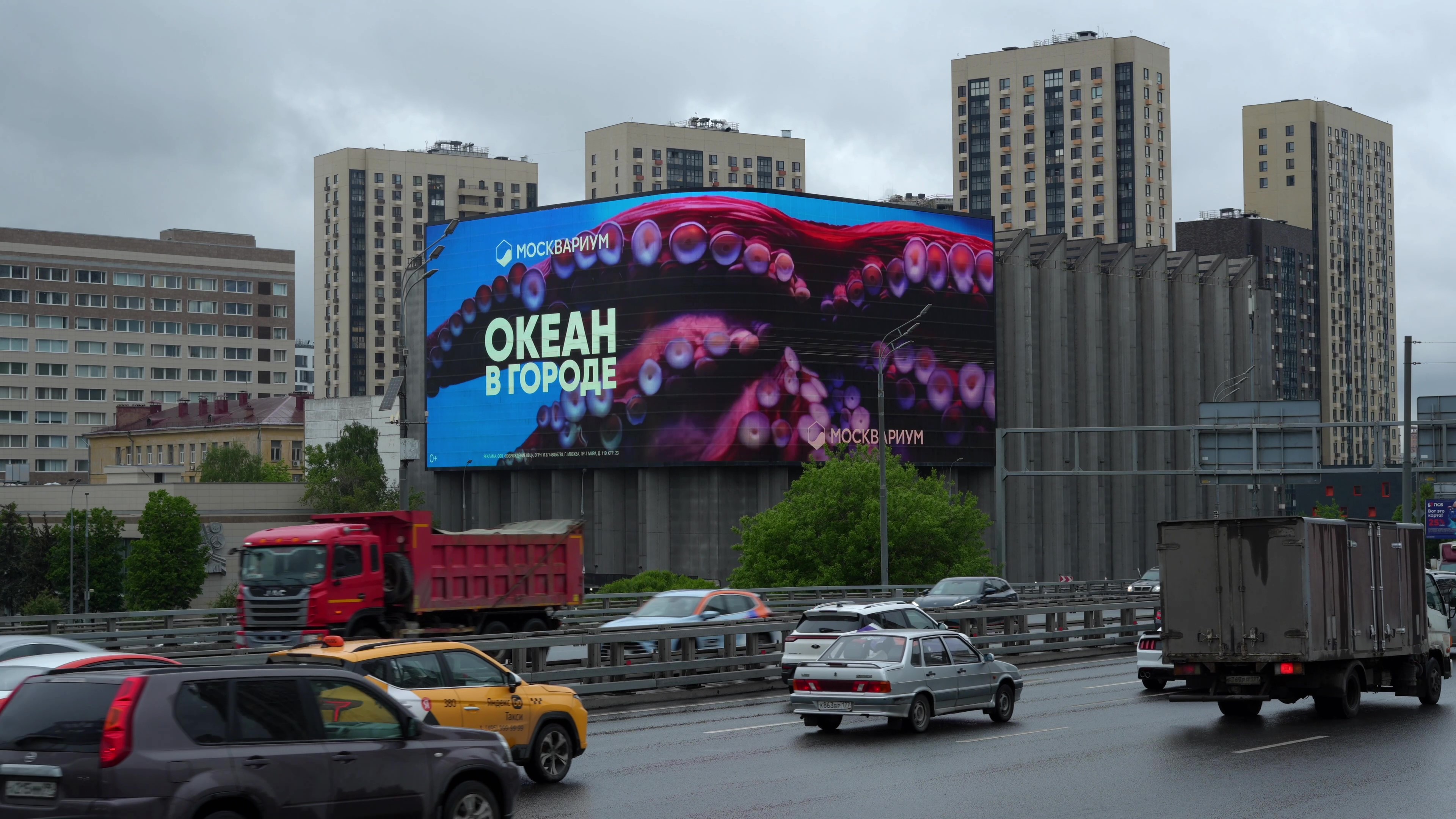 Размещение в Москве и МО
