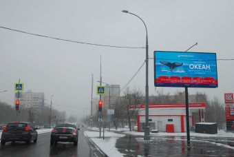 Рекламная кампании для центра океанографии и морской биологии   "Москвариум".